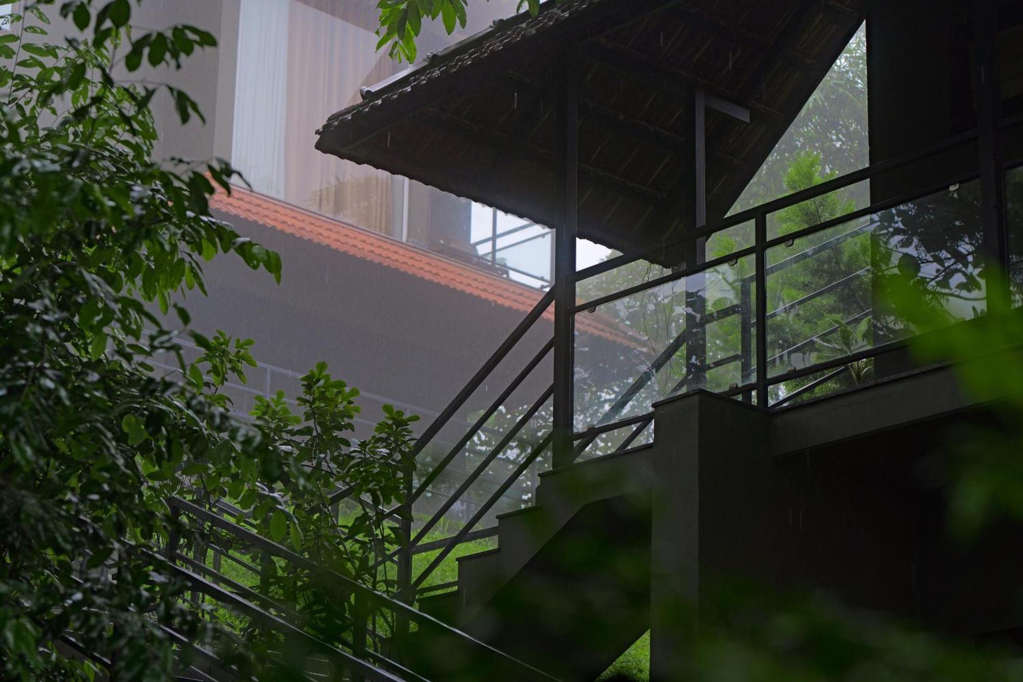 Haze And Kites Resort Munnar Exteriér fotografie