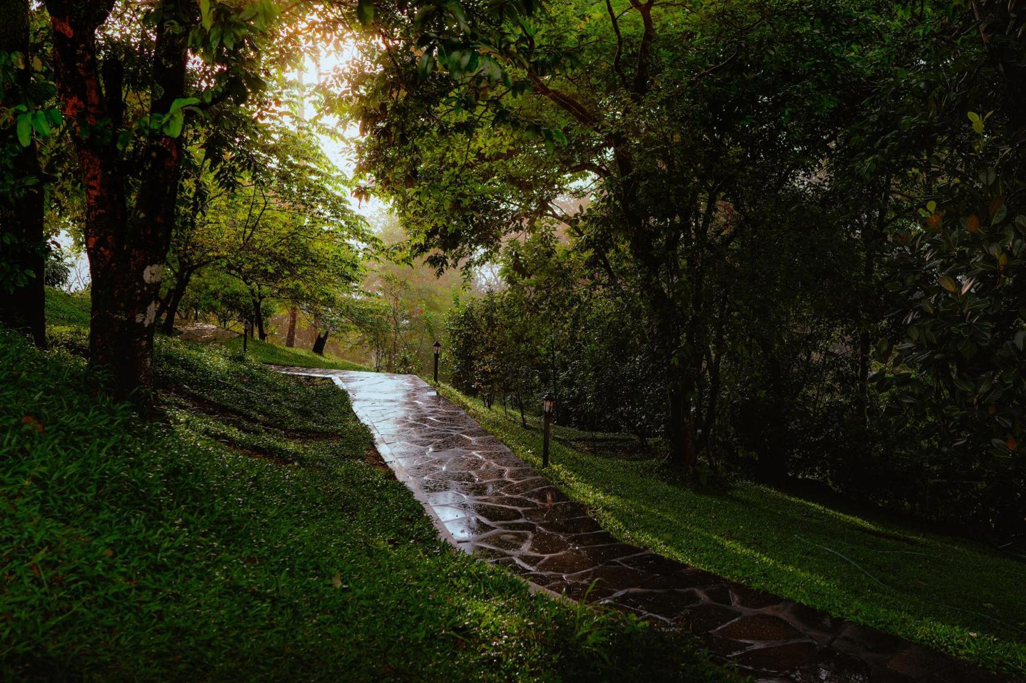 Haze And Kites Resort Munnar Exteriér fotografie