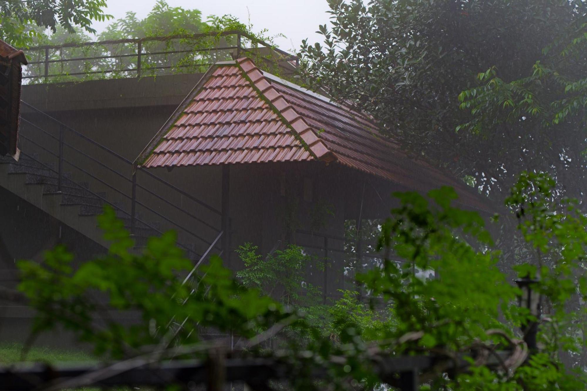 Haze And Kites Resort Munnar Exteriér fotografie